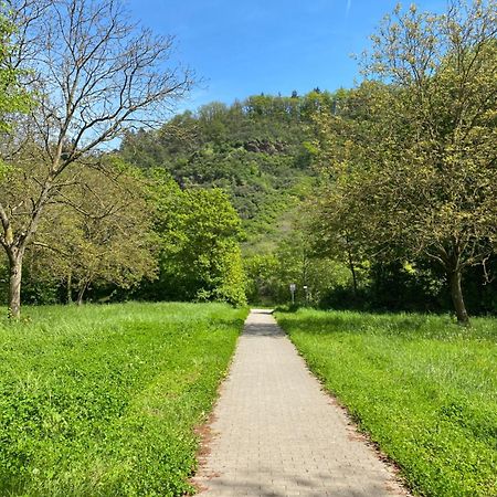 Ferienwohnung An Der Saar Konz Zewnętrze zdjęcie
